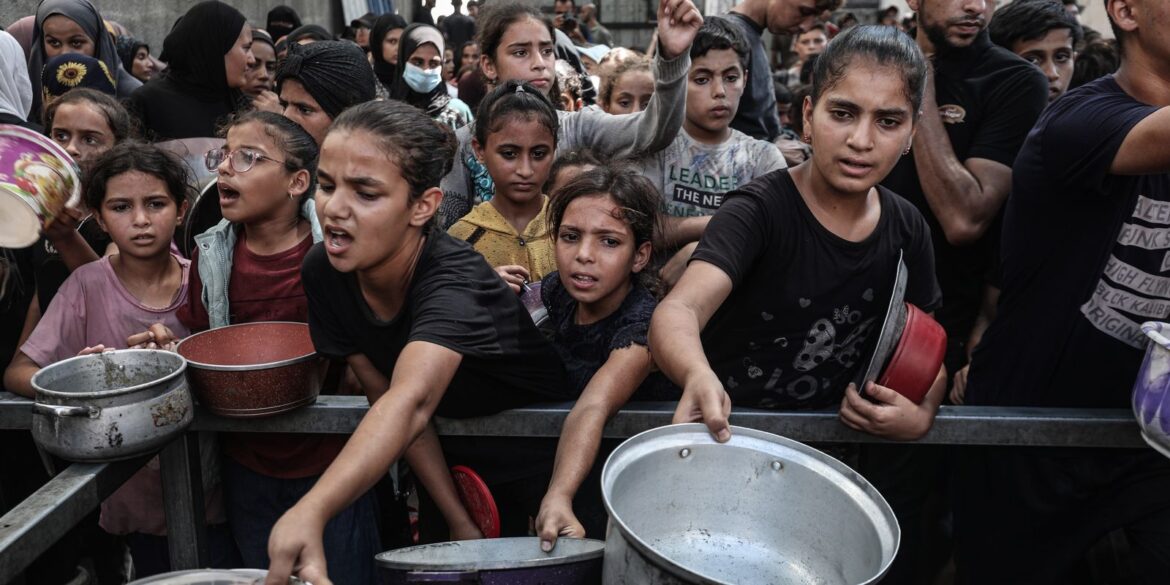 desnutricao-infantil-em-gaza-atinge-novo-recorde-em-agosto,-diz-unicef