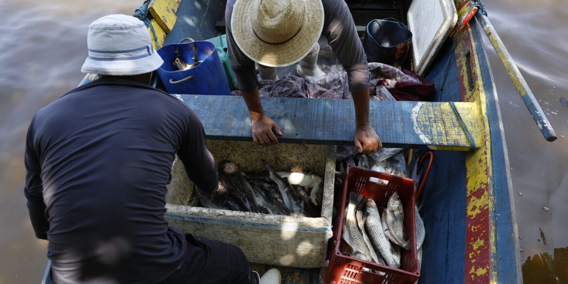 pesquisadores-encontram-mercurio-em-peixes-da-baia-de-guanabara