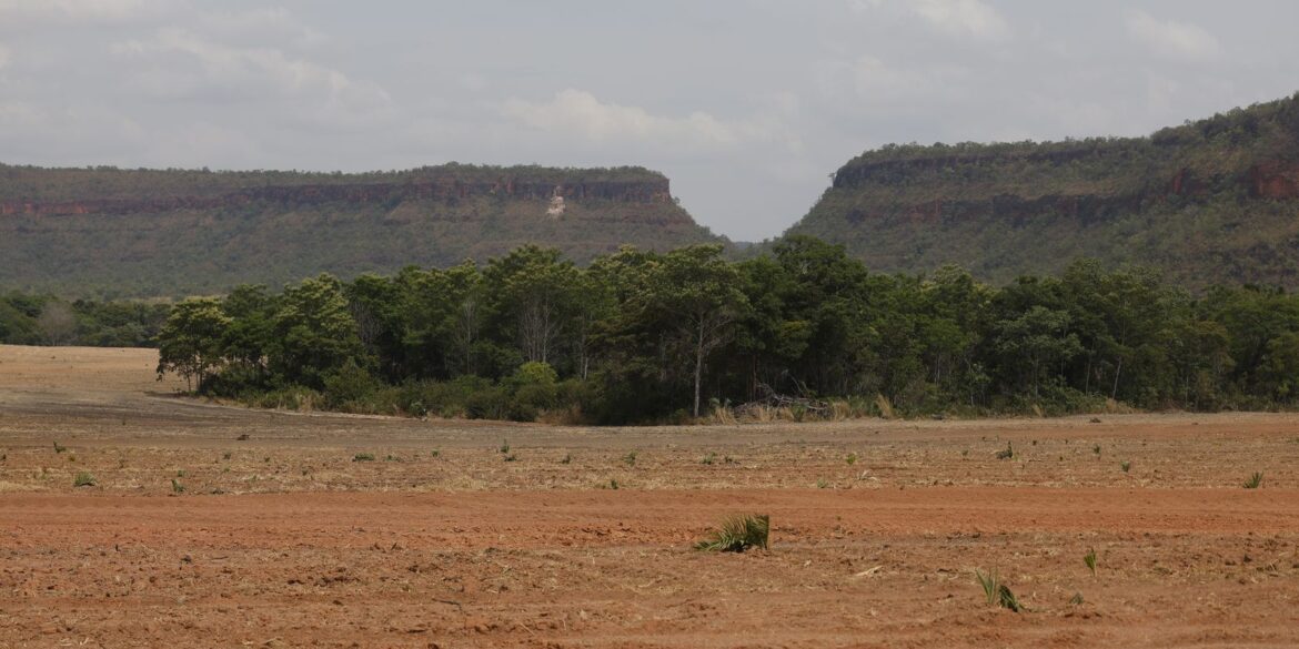 fragmentos-de-vegetacao-nativa-cresceram-no-pais-260%-em-38-anos