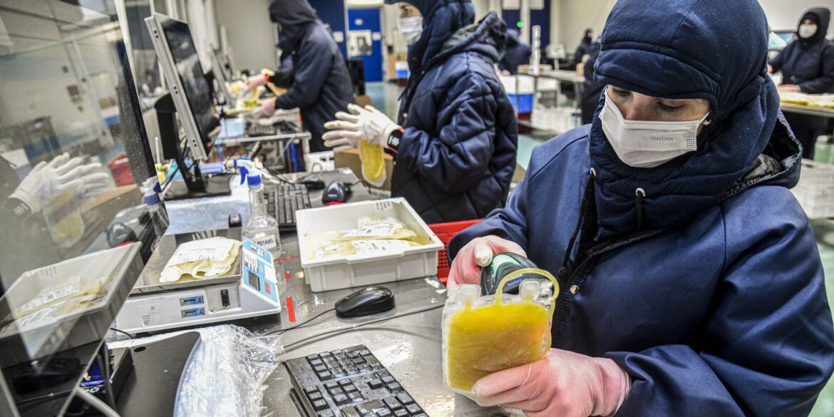 projeto-dispensa-licitacao-para-medicamentos-produzidos-pela-hemobras