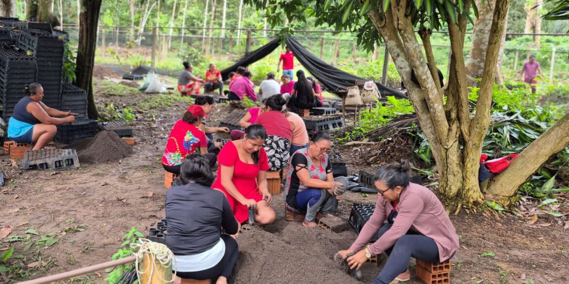 mulheres-da-amazonia-se-unem-para-enfrentar-as-mudancas-climaticas