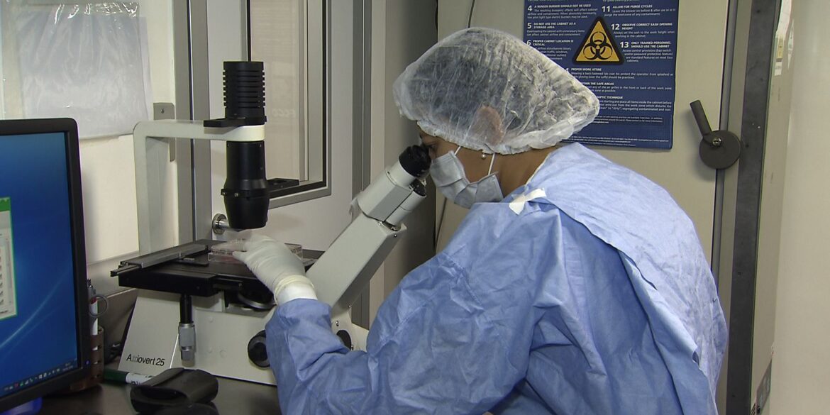 saiba-como-cientistas-“curaram”-pacientes-infectados-com-hiv